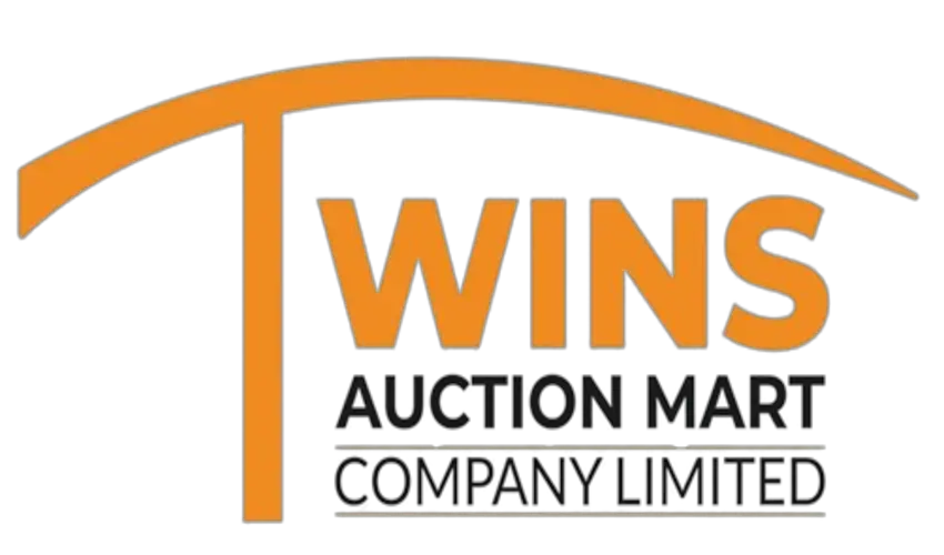 Twins Auction Mart